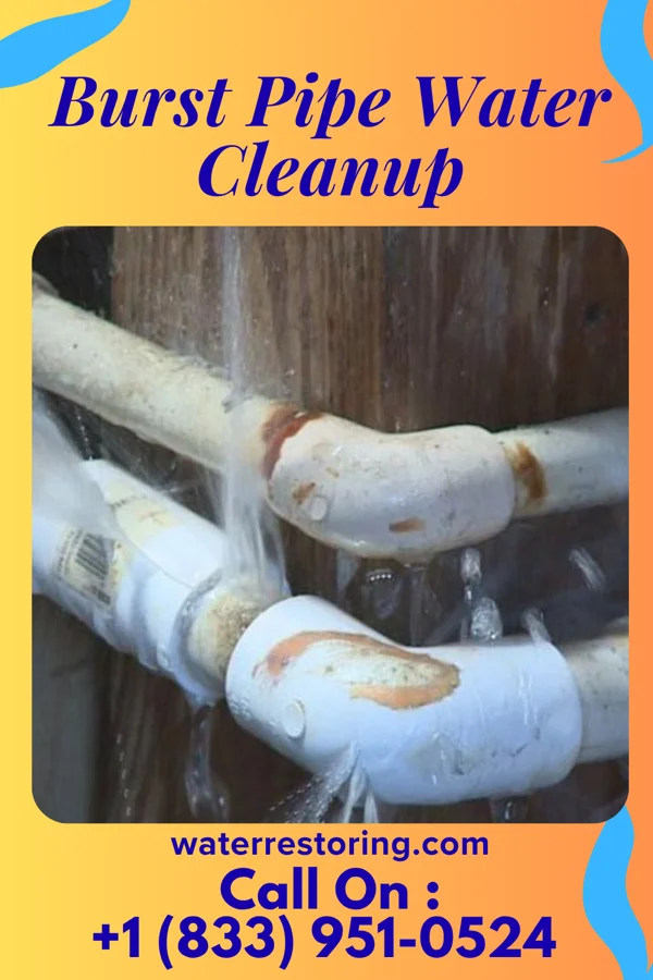 Burst Pipe Water Cleanup in Fort Meade, MD