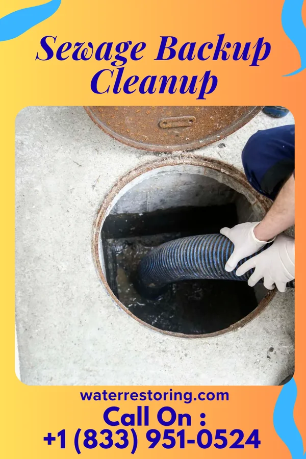 Sewage Backup Cleanup in Fort Meade, MD